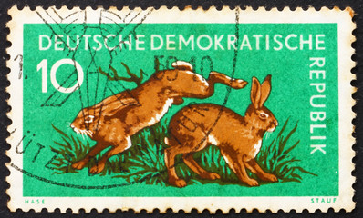 Postage stamp GDR 1959 Hares, Lepus Timidus, Animal