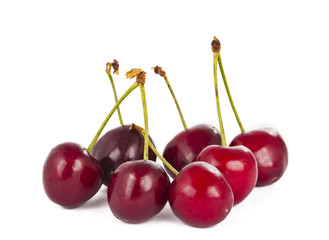 cherries isolated