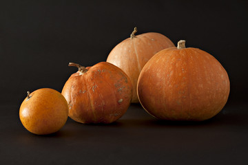 Set of pumpkins on black.