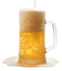 lager beer