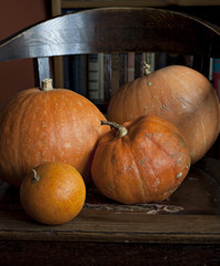 Set of pumpkins.