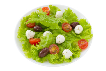 salad with cheese mozzarella on the plate