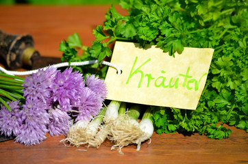 Naklejka premium frische Kräuter Schild