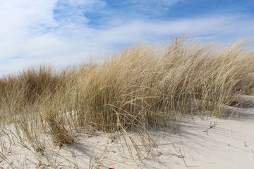 Dünenlandschaft