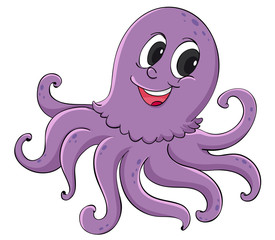 Octopus
