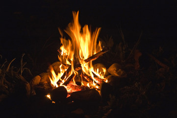 Lagerfeuer