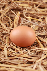 Ei im Stroh