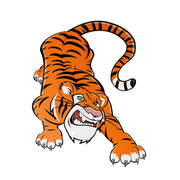 tiger cartoon