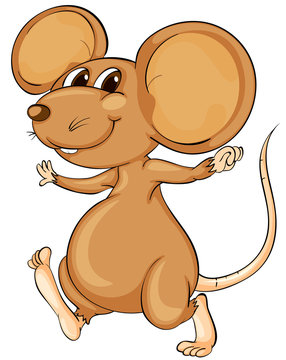 Cute mouse