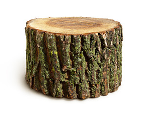 Stump isolated - Powered by Adobe