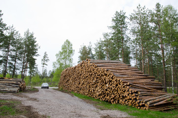 Timber stacks