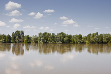 Fototapeta na wymiar The river Loire in France