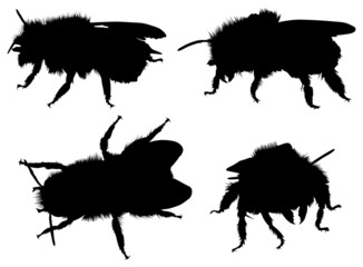 four bee silhouettes