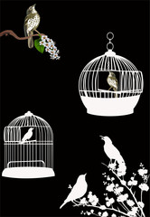 cages à oiseaux et oiseaux isolés sur fond noir