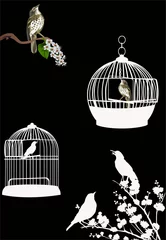 Crédence de cuisine en verre imprimé Oiseaux en cages cages à oiseaux et oiseaux isolés sur fond noir