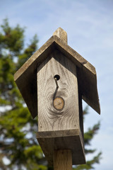Wooden Birdhouse