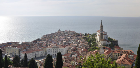 piranorama © weintel