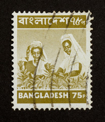 BANGLADESH - CIRCA 1970: Stamp printed in Bangladesh