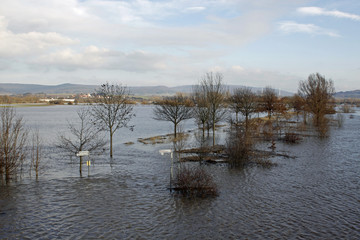 Weserhochwasser nahe Hessisch Oldendorf