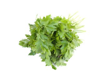 Bouquet of parsley