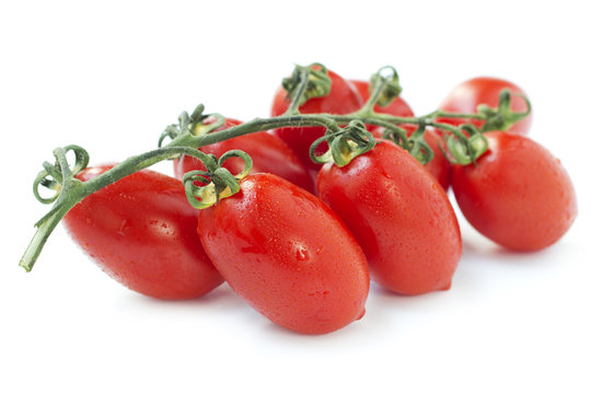 Pomodori