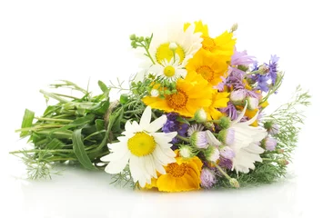 Papier Peint photo Lavable Marguerites beautiful bouquet of bright  wildflowers, isolated on white