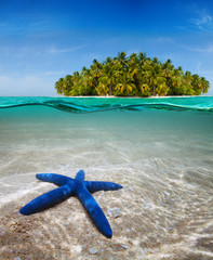 Underwater life near beautiful island