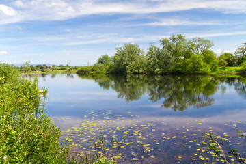 Beautiful Irish forest reflected in the lake
