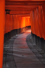 Camino de Fushimi Inari Torii. Japón