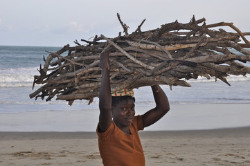 Eine afrikanische Frau bringt das tägliche Brennholz nach Hause