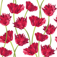 Print, бесшовный фон из красных цветов, тюльпаны