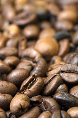 Close-up of coffee beans
