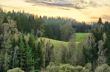 Hills with forest