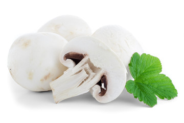 Fototapeta na wymiar Fresh mushrooms on white background