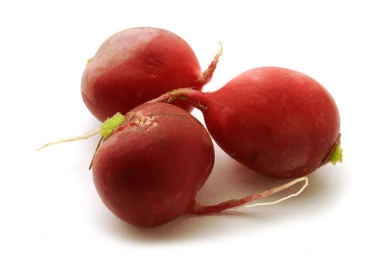 Raphanus sativus 櫻桃蘿蔔