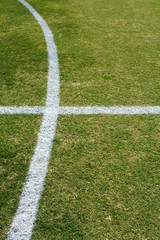 Fototapeta premium Lines of a Soccer Field