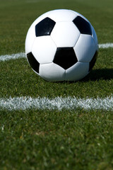 Soccer Ball on the Field