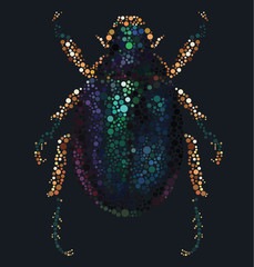 Scarab Beetle