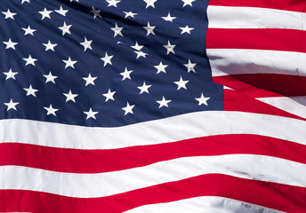 Unites States Flag
