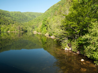 Fototapeta premium Reflet sur le lac entouré de forêt