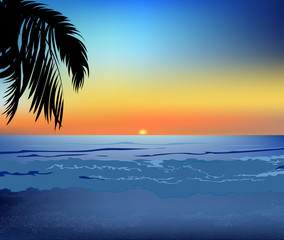 The sea and the beach at sunset. With the shadow of palm trees