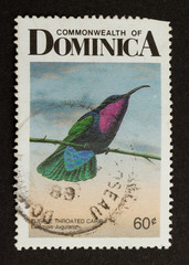 DOMINICA - 1968: Stamp printed in Dominica