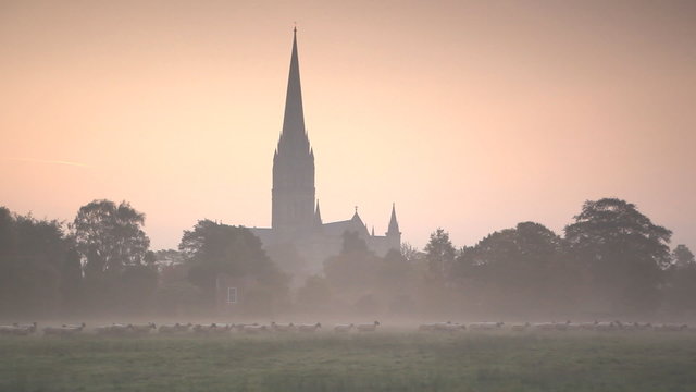 Salisbury cathedral at dawn