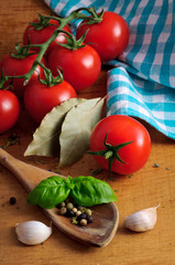 ingredients for tomato sauce
