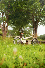 Fototapeta na wymiar rower na zielonej łące