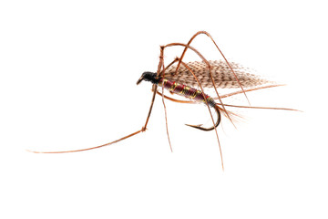 Trout Fly, Daddy Longlegs.
