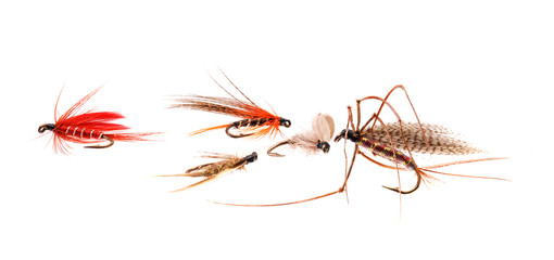 Trout Flies.