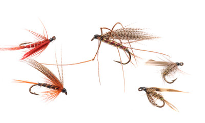 Trout Flies.