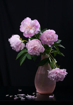 Still life with beautiful pink peonies