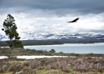 High Mountain Landscape
